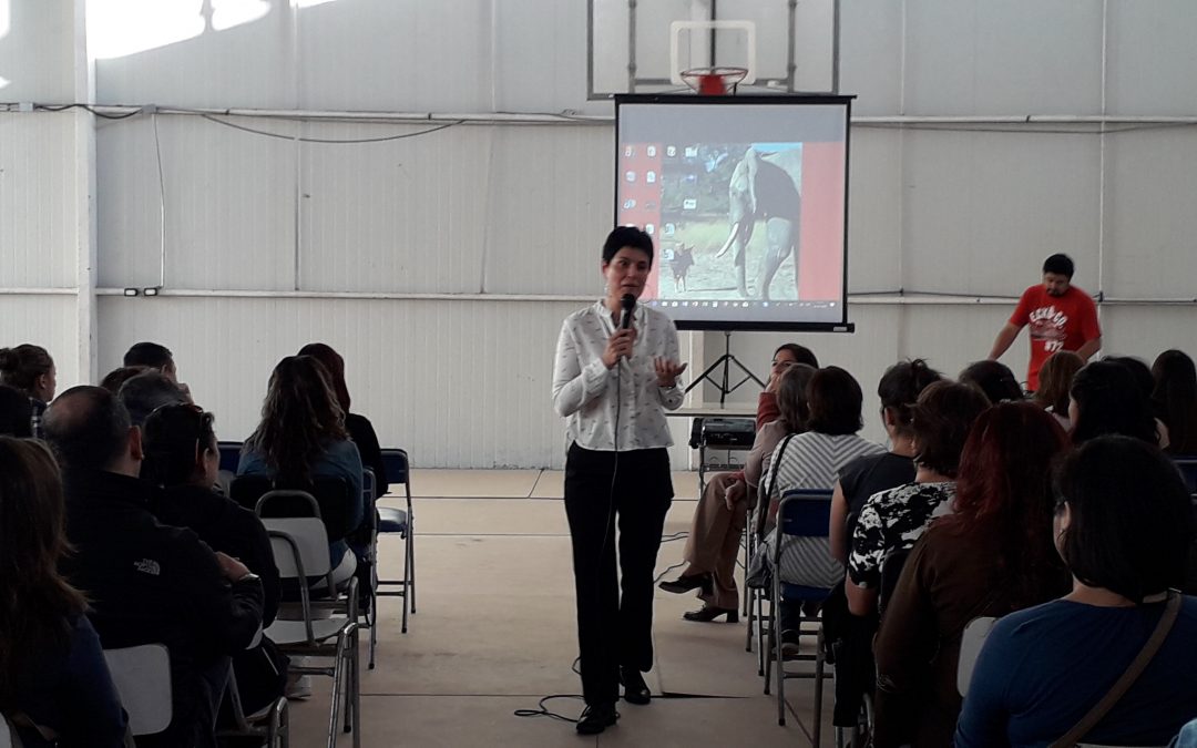 Charla de habilidades parentales.