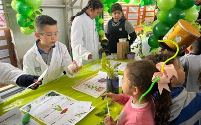 FERIA CIENTÍFICA 2025